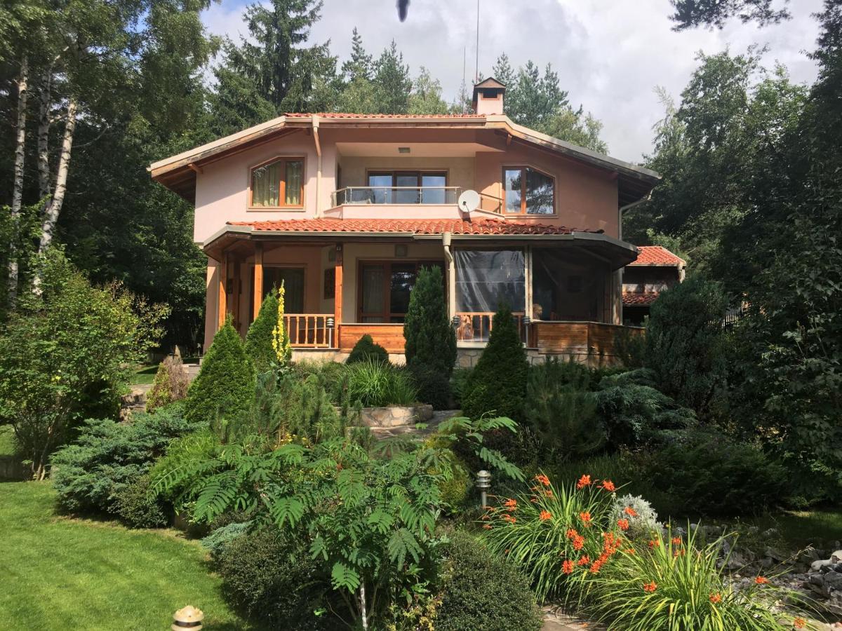 Luxury Villa Borina Zheleznitsa Exterior foto